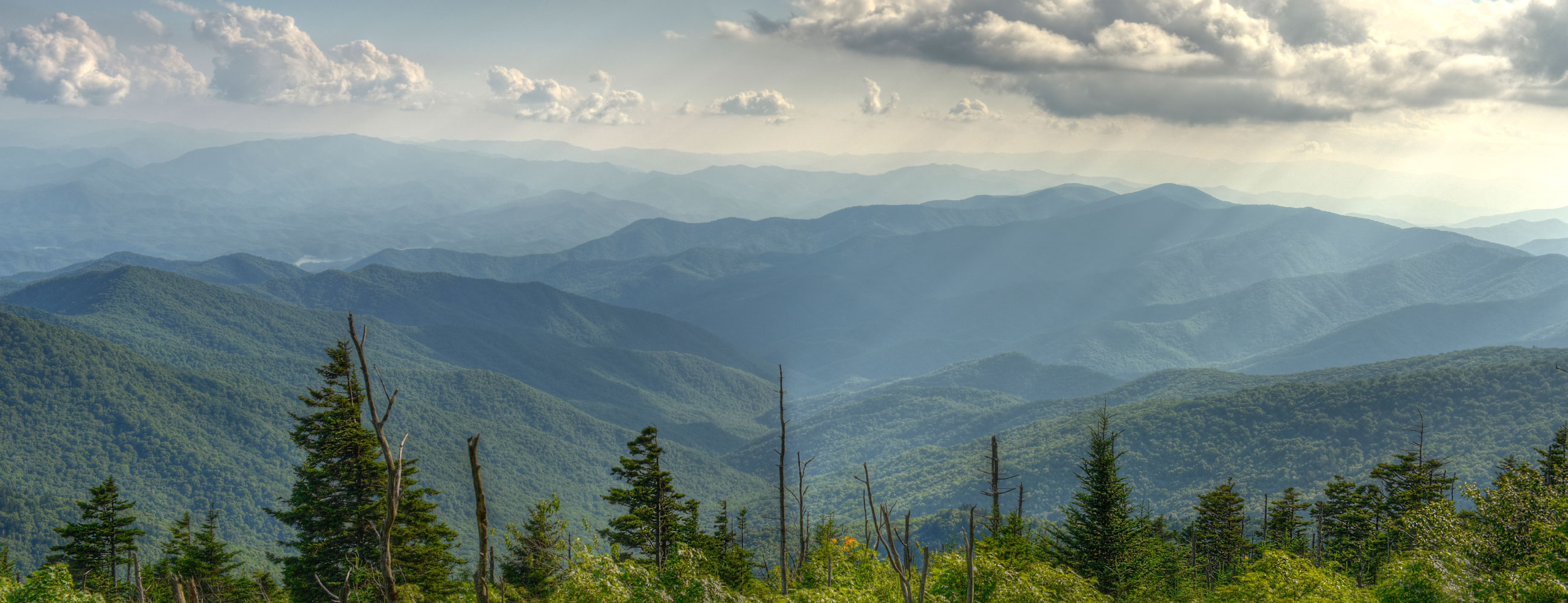 vimal